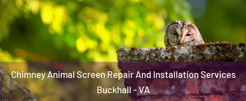  Chimney Animal Screen Repair And Installation Services Buckhall - VA