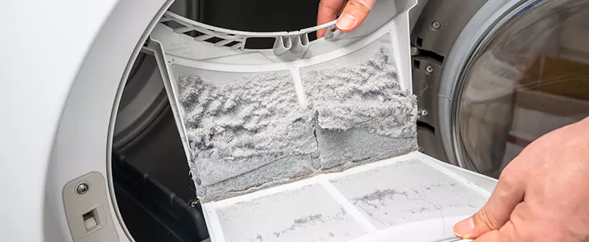 Best Dryer Lint Removal Company in Buckhall, Virginia