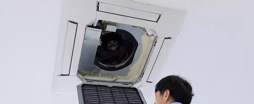 Benefits of Professional Air Duct Cleaning in Buckhall, Virginia