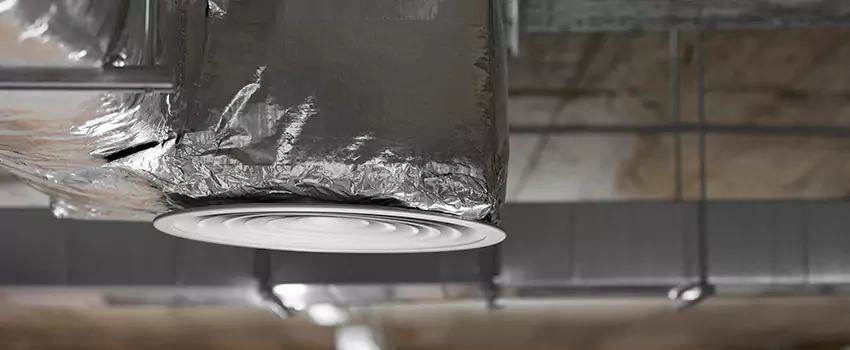 Signs of Dust Accumulation in Vents in Buckhall, VA