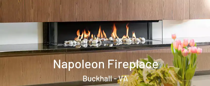  Napoleon Fireplace Buckhall - VA
